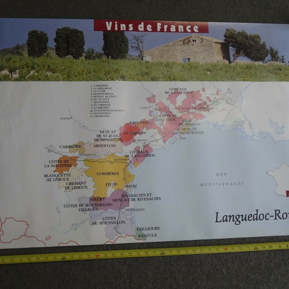 Vins de France Wine Vineyard Map French Chateau Paris Languedoc-Roussillon 30x48